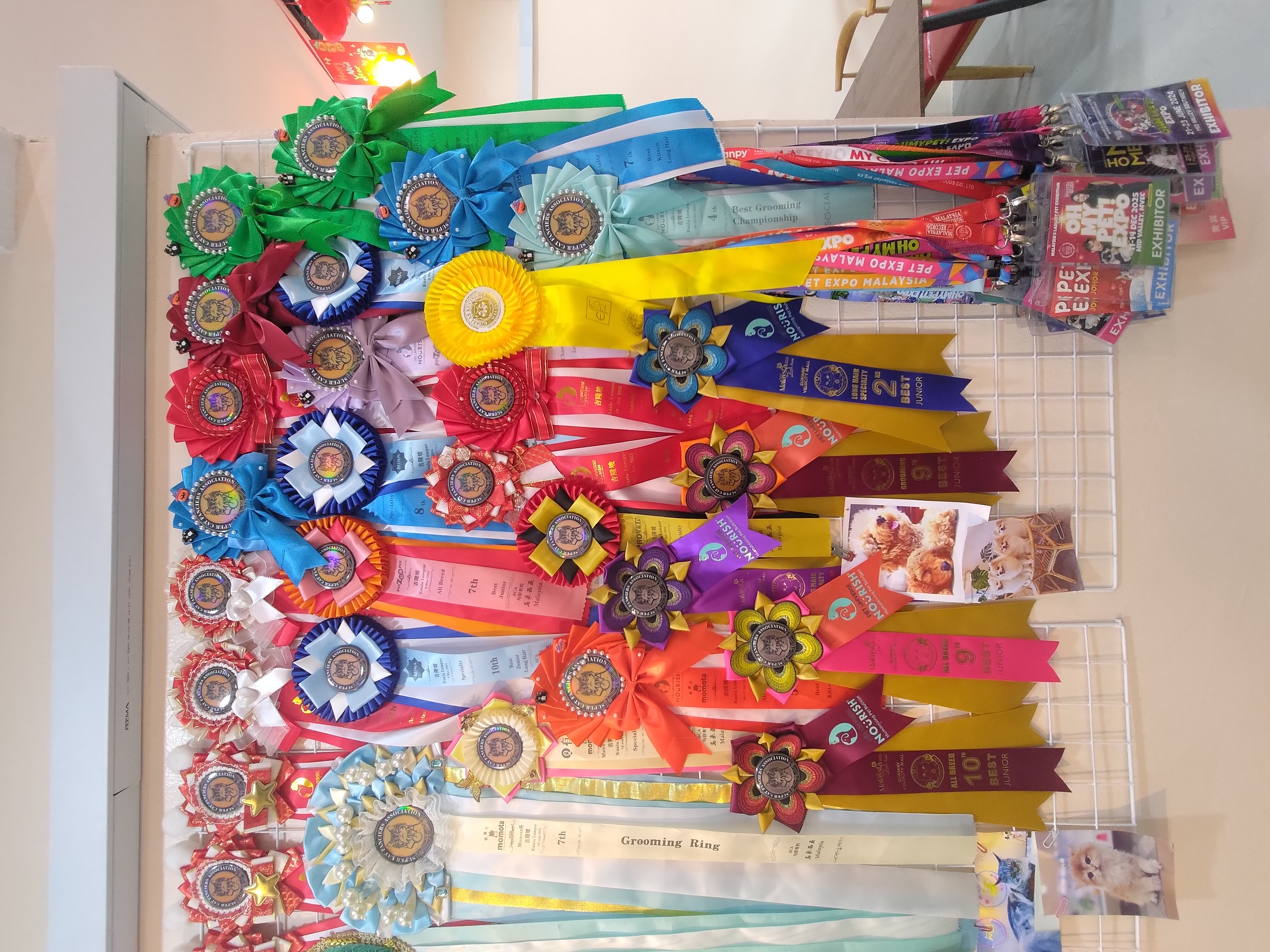 The impressive wall of fame with all the medals