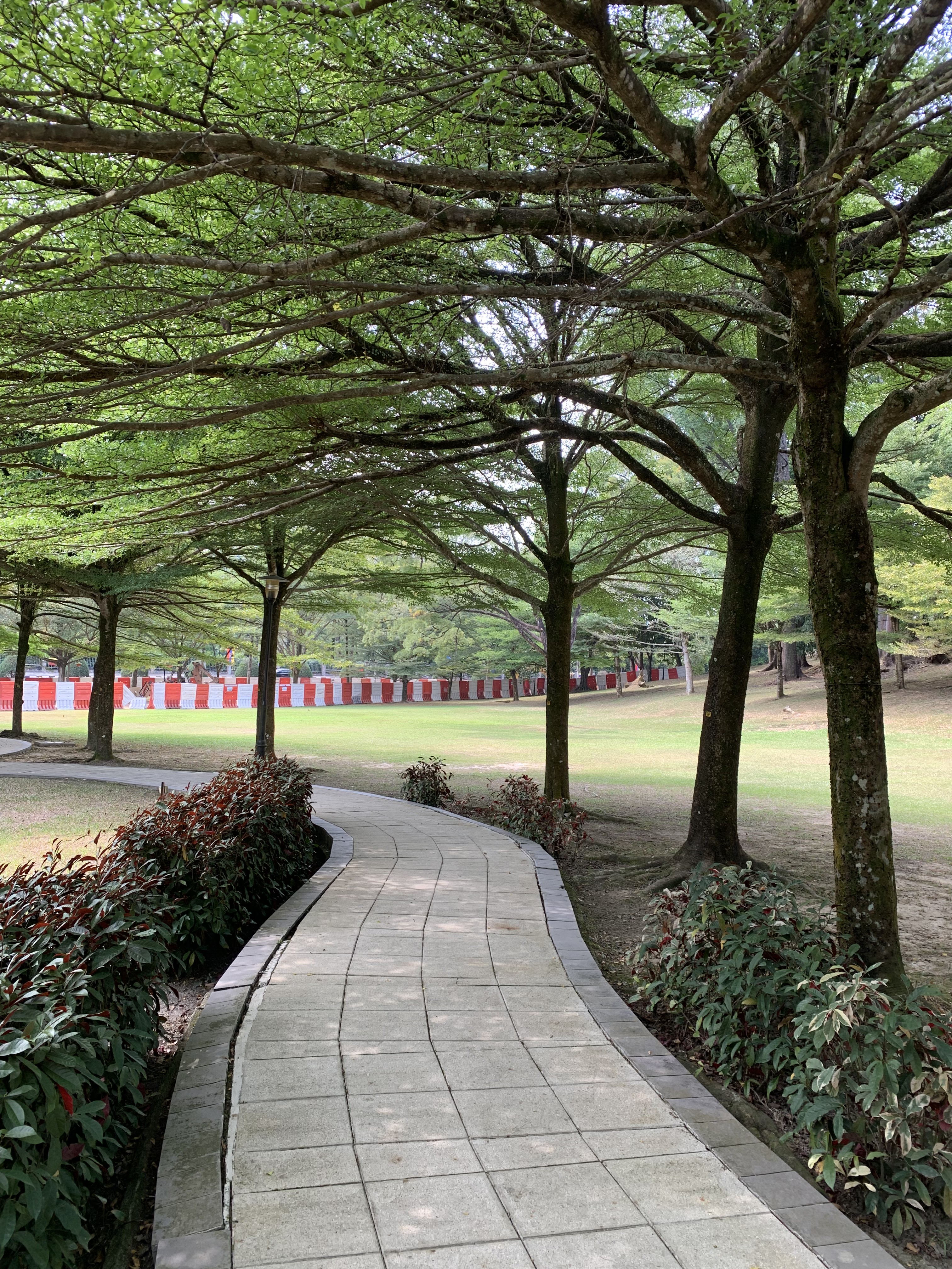 Another walking trail through the park